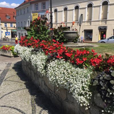 Świebodzice